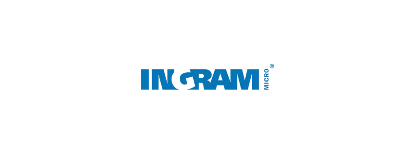 ingram micro francisco ramirez santos